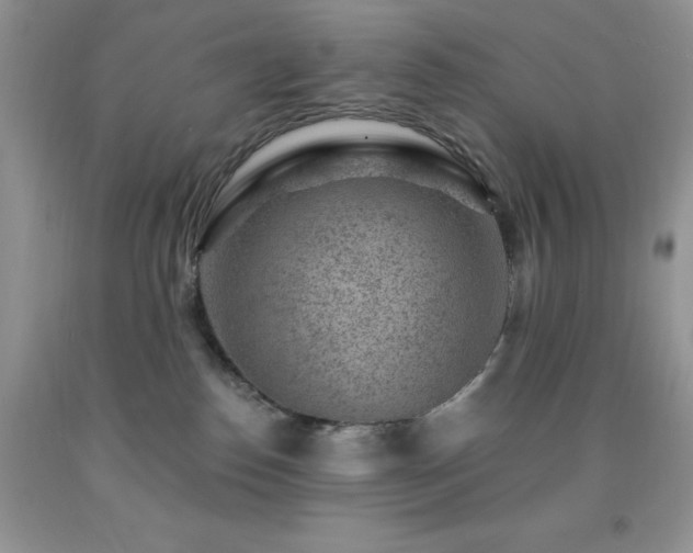 X0000092300186200709141327