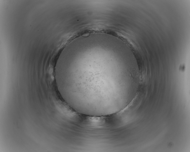 X0000092300187200709141327