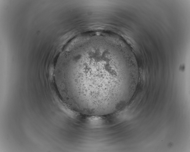 X0000092300189200709141327