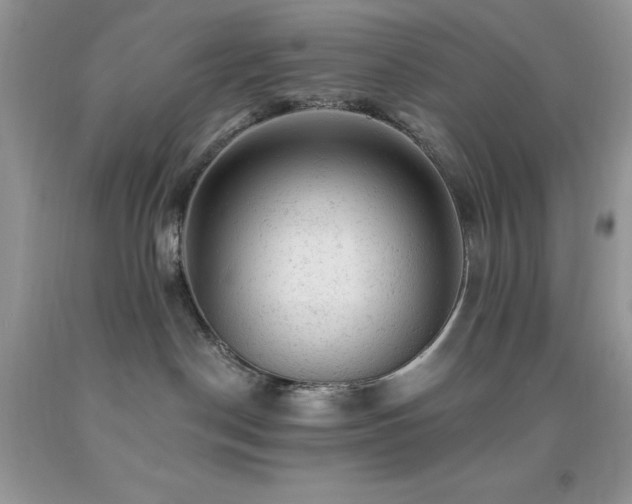 X0000092300190200709141327