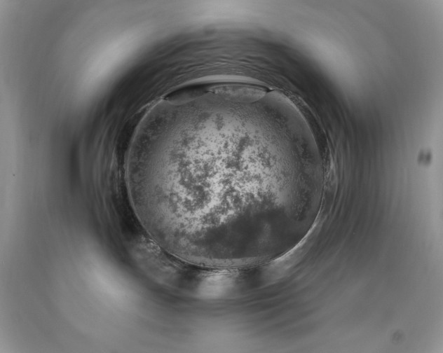 X0000092300191200709141327
