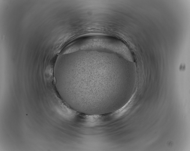 X0000092300192200709141327