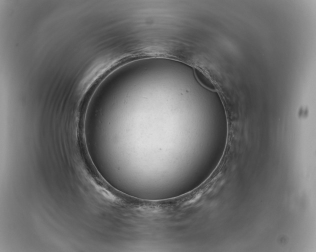 X0000092300194200709141327