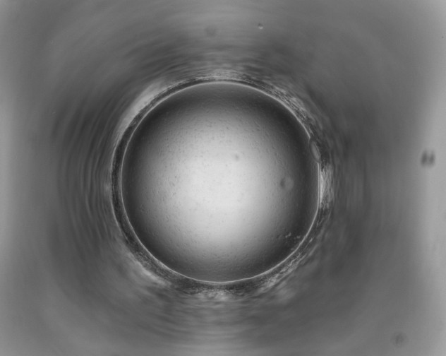 X0000092300195200709141327