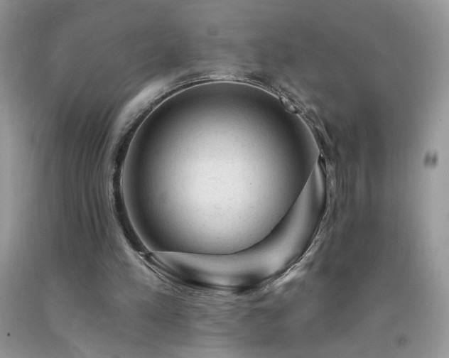 X0000092300197200709141327