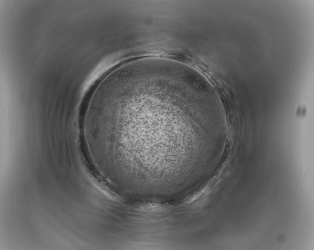 X0000092300198200709141327