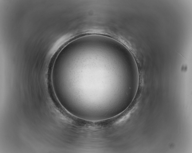 X0000092300199200709141327