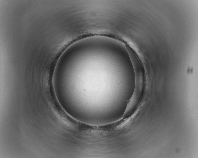 X0000092300201200709141327