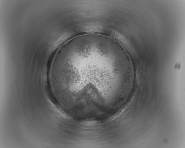 X0000092300202200709141327