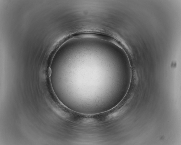 X0000092300203200709141327