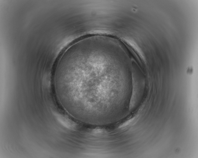 X0000092300204200709141327