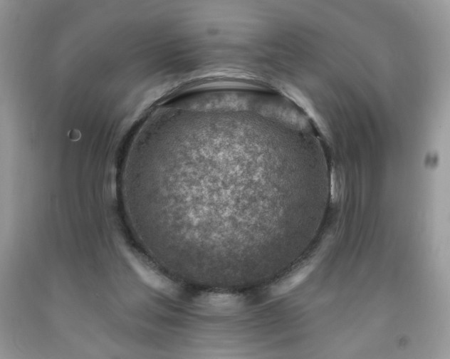 X0000092300205200709141327
