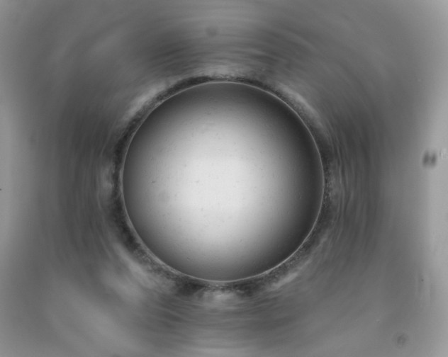X0000092300208200709141326