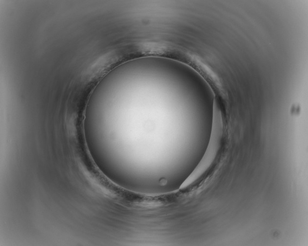 X0000092300209200709141326