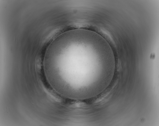 X0000092300210200709141326
