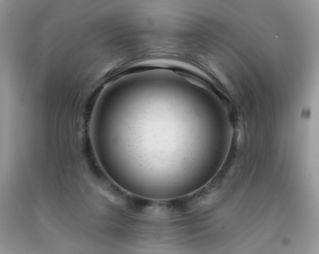 X0000092300211200709141326