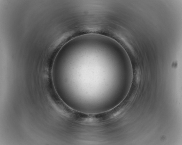 X0000092300212200709141326