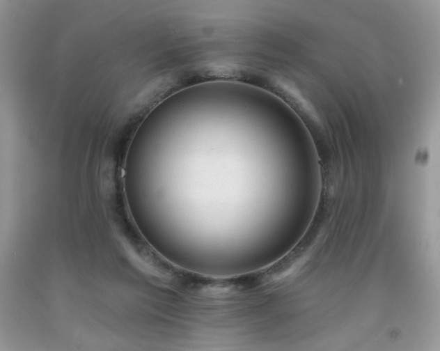 X0000092300213200709141326