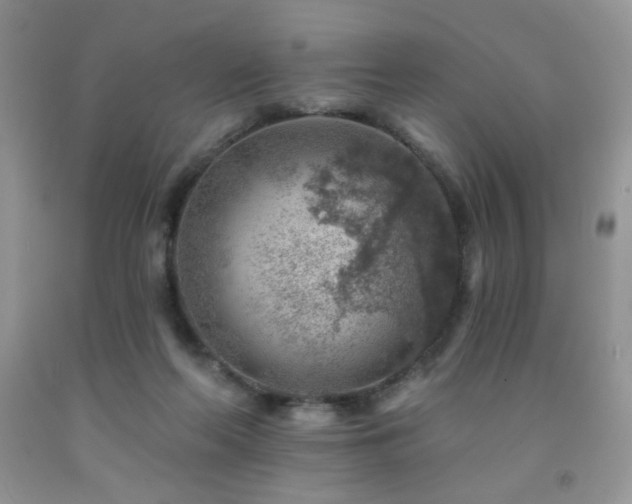 X0000092300214200709141326