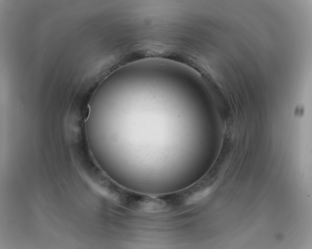 X0000092300215200709141326