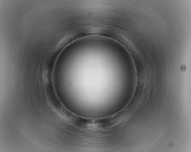 X0000092300216200709141326