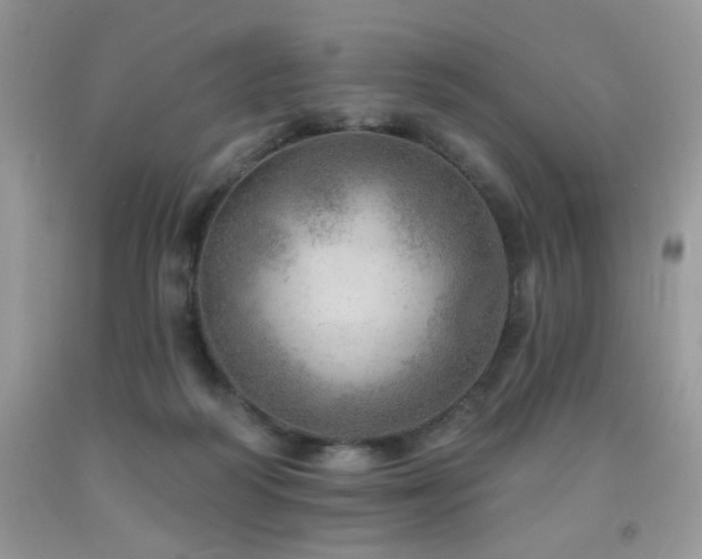 X0000092300218200709141326