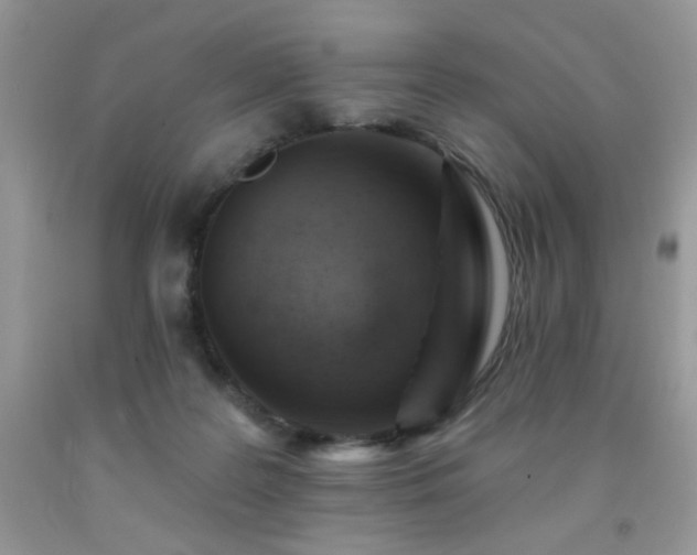 X0000092300219200709141326