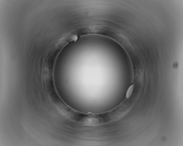 X0000092300220200709141326