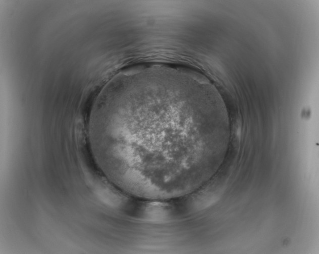 X0000092300222200709141326