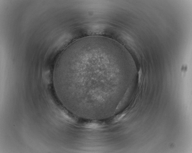 X0000092300224200709141326
