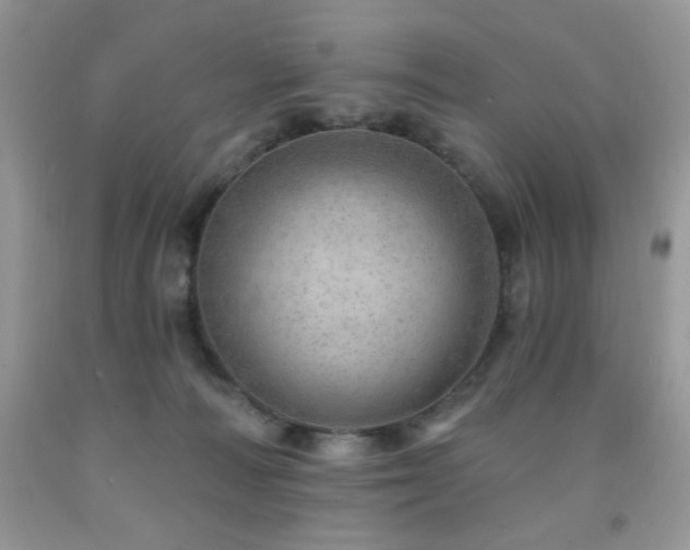 X0000092300226200709141326