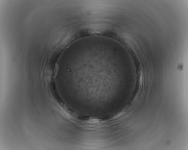 X0000092300227200709141326