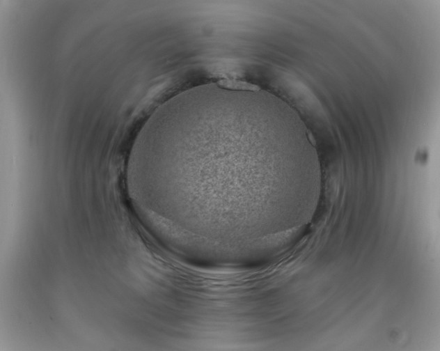 X0000092300229200709141326