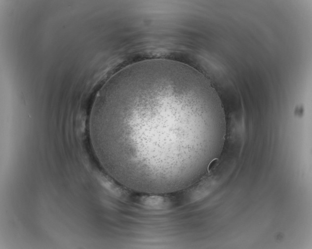 X0000092300230200709141326