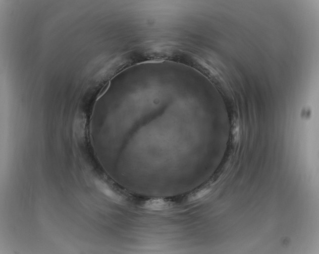 X0000092300231200709141326