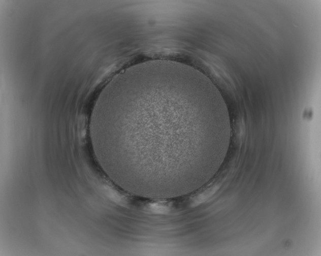 X0000092300232200709141326
