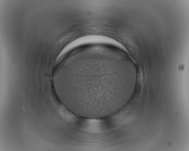 X0000092300233200709141326