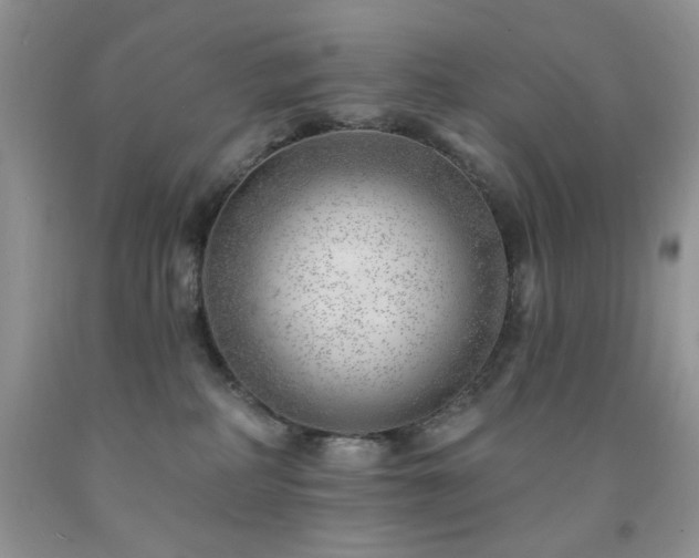 X0000092300234200709141326