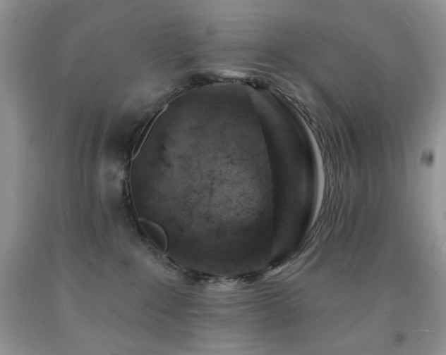 X0000092300235200709141326