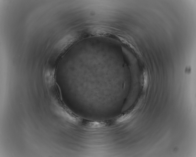 X0000092300239200709141326