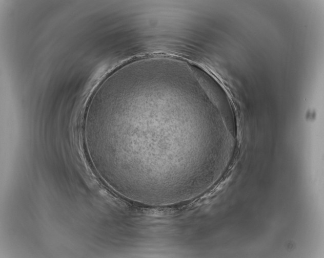 X0000092300241200709141325