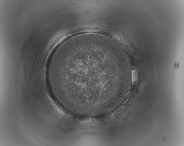 X0000092300243200709141326