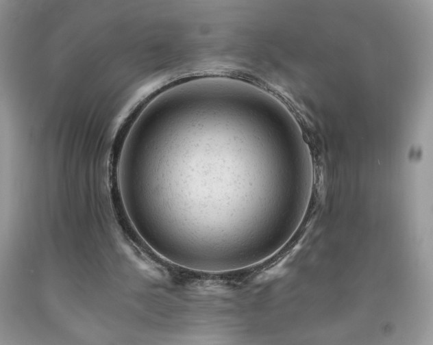 X0000092300244200709141326