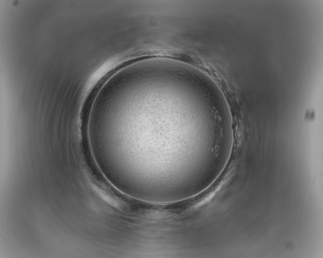 X0000092300246200709141326