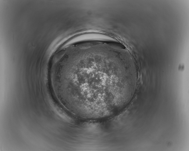X0000092300247200709141326