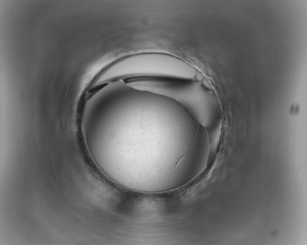 X0000092300248200709141326
