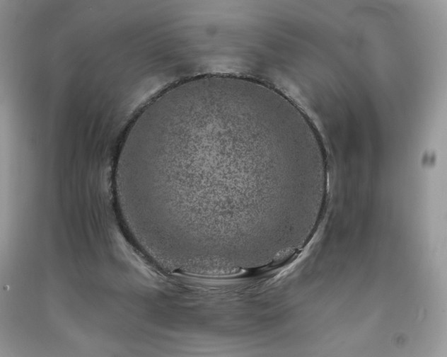 X0000092300249200709141326