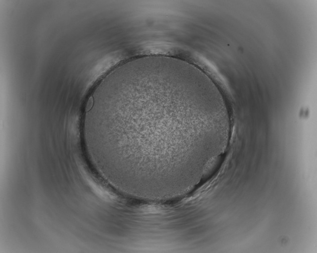 X0000092300250200709141326