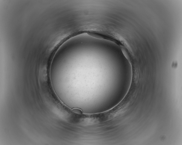 X0000092300251200709141326