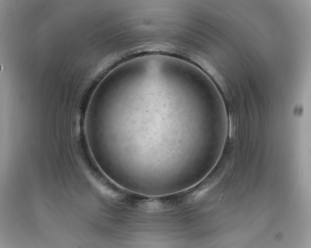 X0000092300253200709141326